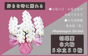 099H385 5本立て 胡蝶蘭 50輪～60輪 白色【木製大型木札 または メッセージカード 付き ラッピング お祝い ギフト 贈答 贈り物 プレゼント 生花 花 農福連携】