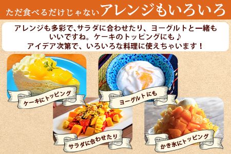 ＜宮崎特産！国富町産の完熟マンゴー 1玉（2L）＞2026年3月下旬～6月下旬迄に順次出荷【a0592_as】