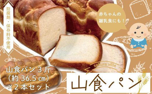 yml\szR5-354Dsakura ville l\̎RHp2{Zbg