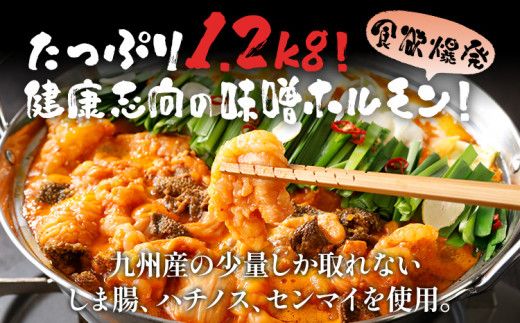 田川みそホルモン 1.2kg 400g×3パック 味噌だれ500ml×1本 しま腸 ハチノス センマイ 焼肉 コラーゲン 旨辛 コチュジャン タレ漬け 味付け 鉄板焼き 野菜炒め BBQ お取り寄せグルメ お取り寄せ 福岡 お土産 九州 ご当地グルメ 取り寄せ グルメ 福岡県 食品