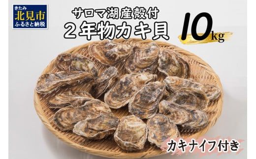 【予約:2024年10月より順次発送】【カキナイフ付】海のミルクサロマ湖産殻付2年物カキ貝 10kg 80～100個入 ( 海鮮 魚介類 貝 お歳暮 お祝い BBQ )【031-0008-2024】