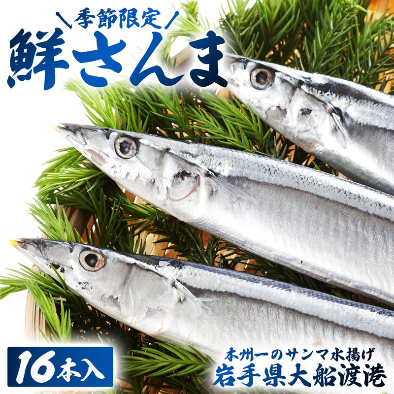 [予約受付中] 鮮さんま 16本入 (1尾 100g〜120g) 岩手大船渡産 サンマ 秋刀魚 さんま [oikawa012_1]