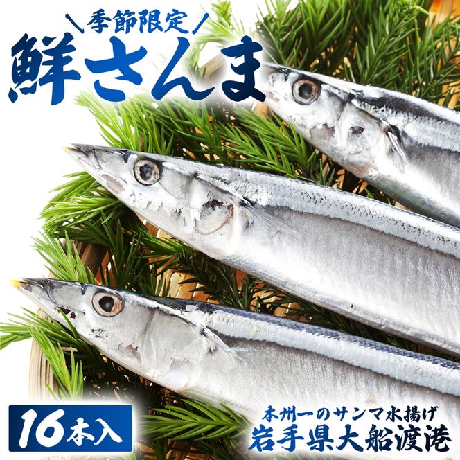 【予約受付中】 鮮さんま 16本入 （1尾 100g～120g） 岩手大船渡産 サンマ 秋刀魚 さんま [oikawa012_1]