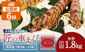 【上天草ブランド認証品】【定期便 2ヶ月1回 計6回】 匠の車えび 【活き締め急速冷凍】300g (9尾～12尾)   冷凍