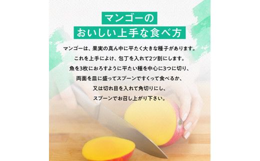【令和8年発送】宮崎県産完熟マンゴー　三國農園　完熟マンゴー2L×3玉 【 果物 フルーツ マンゴー 宮崎県産 完熟マンゴー みやざきマンゴー 】 [C08301]