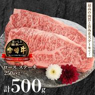 宮崎牛ロースステーキ250g×2計500g N0147-YB426