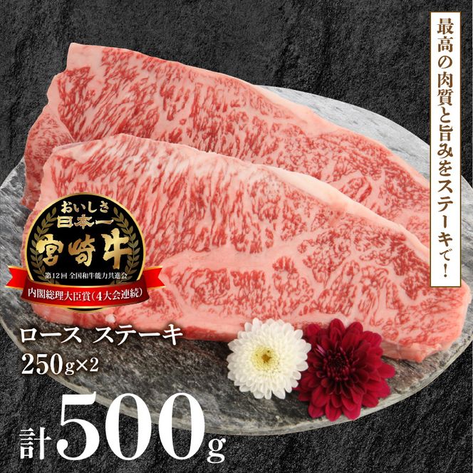 y{茧sz{苍[XXe[L 250g×2 v500g N0147-YB827