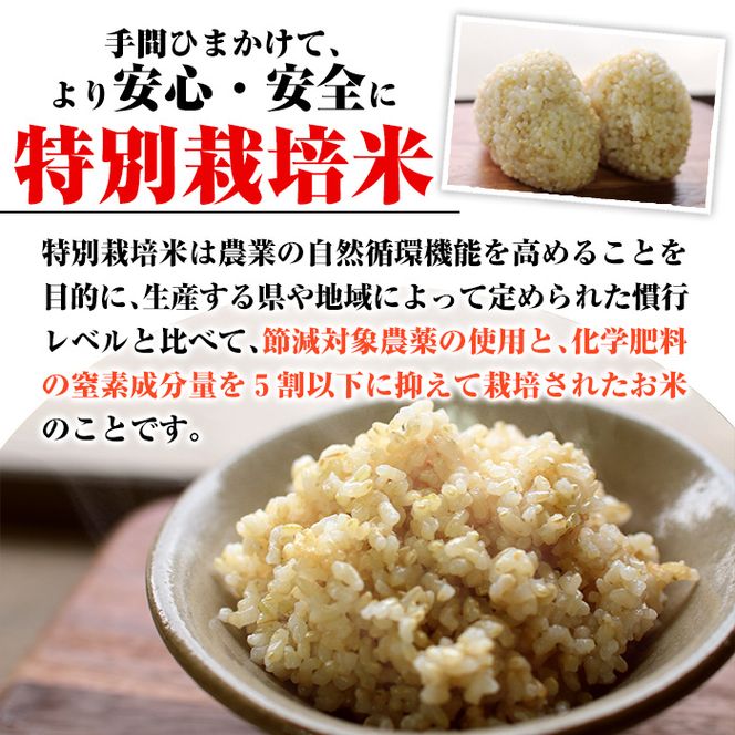 isa400 令和5年産 特別栽培米 永池ひのひかり玄米(5kg) 鹿児島でも極良食味のお米が出来る永池地区で作ったお米！九州米サミット食味コンテスト最優秀賞2回受賞【エコファーム永池】