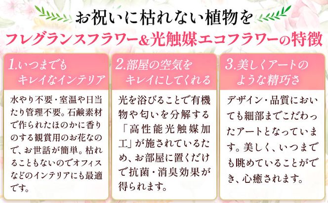 フレグランスフラワー＆光触媒エコフラワー 番犬くん Sサイズ フローリスト萬 《45日以内に出荷予定(土日祝除く)》岡山県 笠岡市 送料無料 母の日 プレゼント アレンジフラワー 枯れない---A-206---