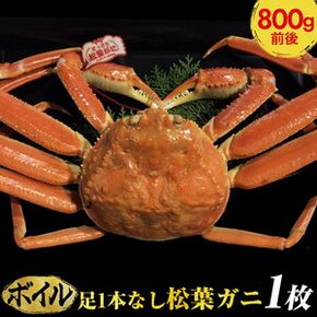 【ボイル】足1本なし松葉ガニ　大1枚（800g前後）【着日指定不可】 ※2024年11月上旬～2025年3月下旬頃に順次発送予定《かに カニ 蟹》