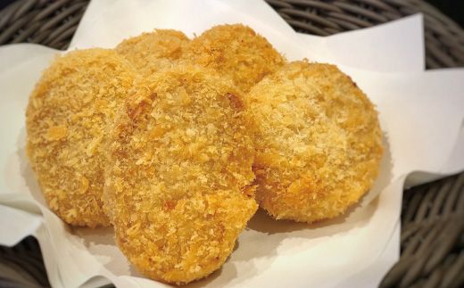 R5-017．四万十牛100%！煮込みハンバーグ・四万十牛コロッケセット （ハンバーグ4個・コロッケ5個 ）