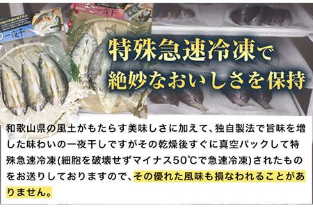 「旨いはずです。」特選あゆ一夜干しセット(13枚入) 日高川漁業協同組合《90日以内に出荷予定(土日祝除く)》 和歌山県 日高川町 あゆ 鮎 魚 一夜干し---wshg_fhgtayuh_90d_22_14000_13p---