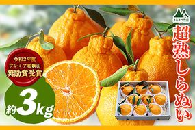 採れたてフレッシュ! 超完熟・葉付き不知火3kg まるまつ農園《3月中旬-4月末頃出荷》 和歌山県 日高川町 不知火 柑橘 しらぬい  完熟---wshg_mrm11_bc34_23_22000_3kg---