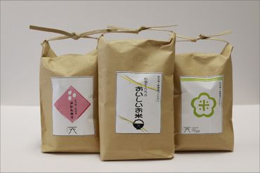 京丹後・野間産　田渕さんちのおいしいお米 個包装 2合×6袋入　AN00080