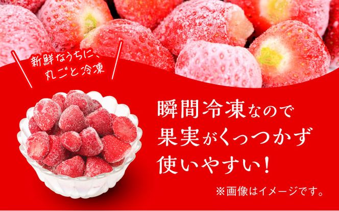 福岡県産【博多冷凍あまおう】約500g×2袋 合計約1kg《築上町》【株式会社H&Futures】[ABDG005]