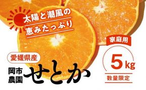 【先行予約】【数量限定】＼農園直送／愛媛県産せとか5kg×1箱（家庭用）◆｜柑橘 みかん ミカン 蜜柑 果物 フルーツ 柑橘の大トロ 愛媛県産 ※2025年2月下旬頃～3月中旬頃に順次発送予定