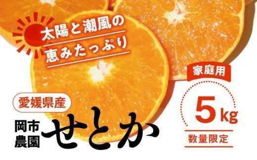 【先行予約】【数量限定】＼農園直送／愛媛県産せとか5kg×1箱（家庭用）◆｜柑橘 みかん ミカン 蜜柑 果物 フルーツ 柑橘の大トロ 愛媛県産 ※2025年2月下旬頃～3月中旬頃に順次発送予定