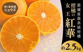 紅華（生果）約2.5kg ※2024年11月下旬～12月下旬頃に順次発送予定