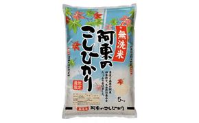 C119 無洗米阿東のコシヒカリ5㎏×2袋（白米）