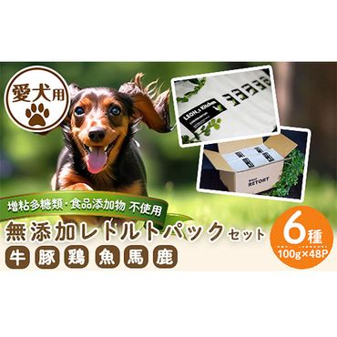 a960 [増粘多糖類・食品添加物不使用]愛犬用無添加レトルトパックセット6種(100g×48パック)[Nフードサービス]鹿児島県産 ペットフード 動物 犬 ドッグ 餌 エサ おやつ ごはん ご飯 間食 ご褒美