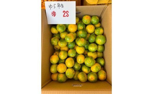 ゆら早生みかん 赤秀品 2Sサイズ 5kg CC22