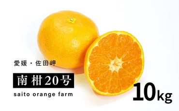 【先行予約】Saito Orange Farmの南柑20号10kg ｜ 温州みかん 代表 柑橘 みかん ミカン フルーツ 果物 愛媛　※離島への配送不可　※2024年12月上旬頃より順次発送予定