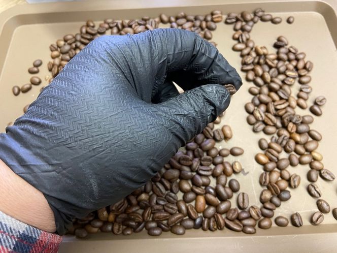 自家焙煎珈琲豆 シングル 4種類飲み比べ 30g 4種×4袋 計16袋【豆でお届け】｜SAKURA黒猫堂 珈琲 焙煎 コーヒー豆 