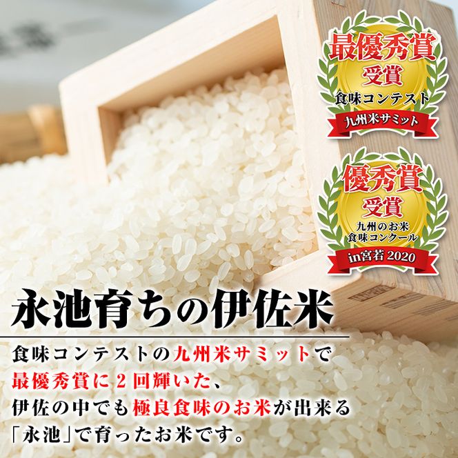 A4-06 令和5年産 特別栽培米 永池ひのひかり(計10kg・5kg×2袋)鹿児島でも極良食味のお米が出来る永池地区で作ったお米！九州米サミット食味コンテスト最優秀賞2回受賞【エコファーム永池】