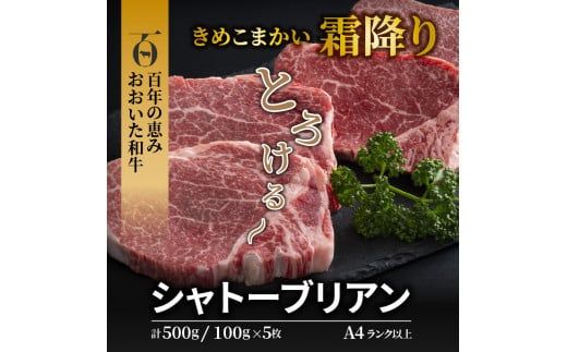 【A4～A5等級】おおいた和牛シャトーブリアンステーキ100g×5枚_1472R