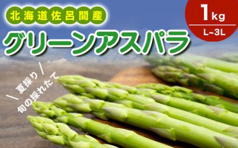 【夏採り】 グリーンアスパラ 1kg（L～3L）旬の採れたて 北海道 佐呂間産（2027年7月出荷開始先行予約） SRMM016