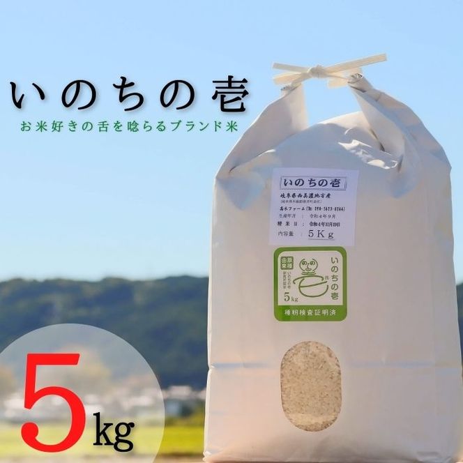 BI-31 【特別栽培米】垂井町産いのちの壱5kg