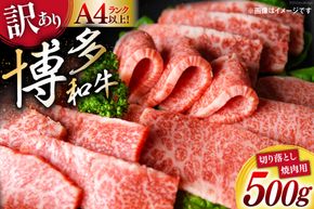 訳あり 博多和牛 A4～A5 切り落とし 焼肉 (肩ロース or バラ）500g 化粧箱 / MEAT PLUS / 福岡県 筑紫野市 [21760469] 肉 牛肉 和牛 黒毛和牛 冷凍