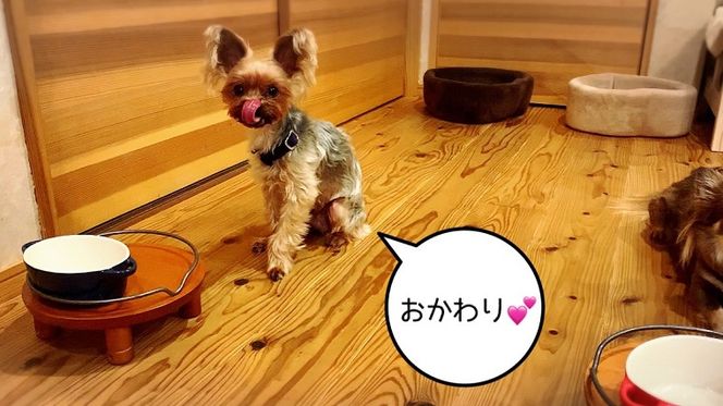 FB153_犬の無添加ごはん☆具だくさんカレー＆クリームシチュー＆ミネストローネ☆スモークソーセージ入り【各2袋・全6袋】　/みやき町