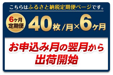 【6ヶ月定期便】 訳あり 一番摘み 有明海産 海苔 40枚  《お申込み月の翌月から出荷開始》熊本県産（有明海産）全形40枚入り 長洲町 海苔 定期便 ---fn_noritei_r7_40500_40m_mo6---