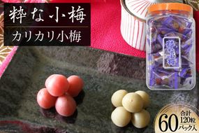 【やばいだろ】粋な小梅 2粒×60 計120粒 [山梨農産食品 山梨県 韮崎市 20742093] 梅干し 梅干 うめぼし 梅 小粒 小梅 カリカリ梅 国産 個包装