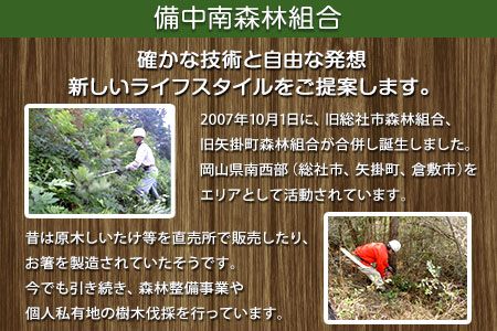 やかげの「原木乾燥しいたけ」 不揃い 備中南森林組合 岡山県矢掛産《60日以内に出荷予定(土日祝除く)》---osy_bityukanso_30d_24_12000_300g---