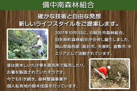 やかげの「薪」 備中南森林組合 岡山県矢掛産《30日以内に出荷予定(土日祝除く)》 薪 まき キャンプ 用品 夏 バーベキュー---osy_bityumaki_30d_22_13000_20kg---