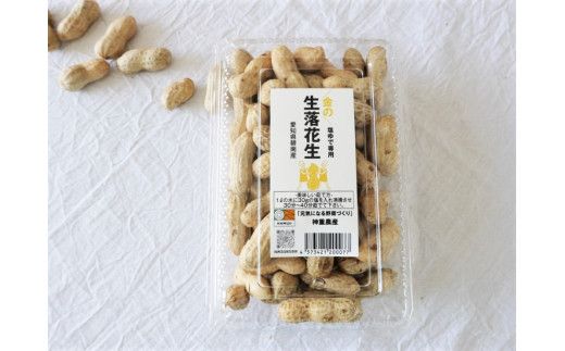 【2026年発送】事前予約 やみつき極うま “金の生落花生” 300g 生ピーナッツ 塩ゆで専用　H105-140