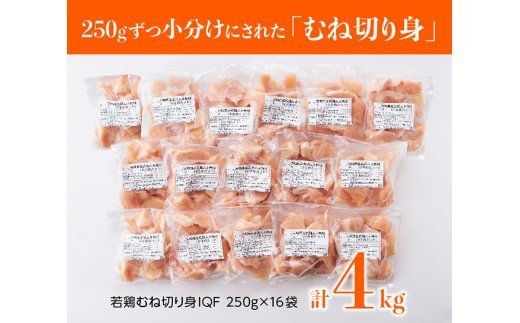 宮崎県産若鶏ムネ切身 計4kg (250ｇ×16袋) 肉 鶏 鶏肉 [D00708]