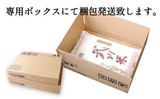 山梨県産 武川米こしひかり10kg 115-007