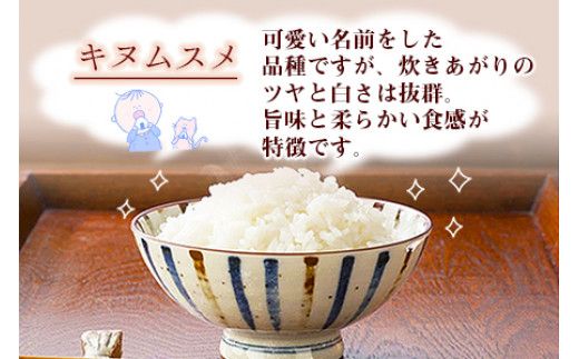 ＜令和5年度 特別栽培米「粋」キヌムスメ 5kg＞※入金確認後、翌月末迄に順次出荷します。【c860_kh_x3】