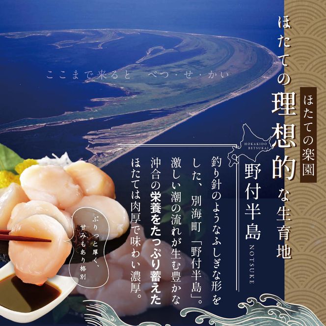 【隔月2回定期便】北海道 野付産 漁協直送 冷凍ホタテ 貝柱大粒ホタテ500ｇ【be018-0055-200-2】