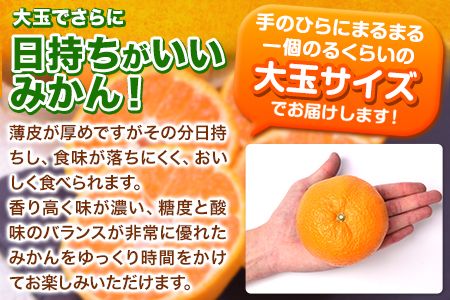 みかん 訳あり 大粒 ミカン 10kg 10キロ 熊本 ちょっと 訳あり 傷 5L～3Lサイズ 約10kg たっぷり 熊本県産 熊本県 期間限定 フルーツ 旬 柑橘 ご家庭用 長洲町 大粒《2025年1月中旬-2月末頃より出荷予定》---fn_notbmkn_bc1_25_13000_10kg---