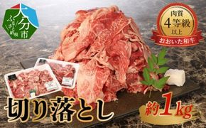 【A01095】おおいた和牛　切り落とし　約1.0kg