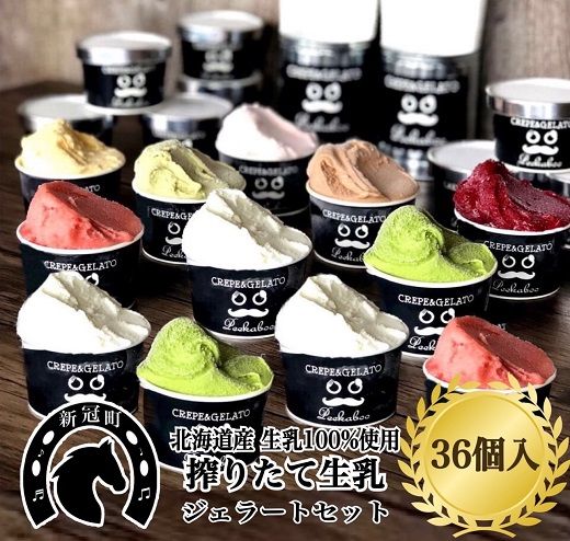 生乳の極みプレミアムジェラートセット L （36個入り）