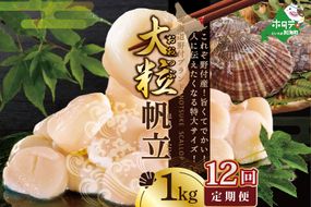 【毎月12回定期便】★NET【新物】北海道野付産冷凍ホタテ貝柱大粒（2Sサイズ）ホタテ1ｋｇ【NKM12NET1】