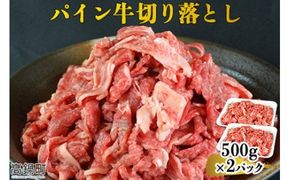 ＜パイン牛切り落とし 500g×2＞翌月末迄に順次出荷【c823_yu_x3】