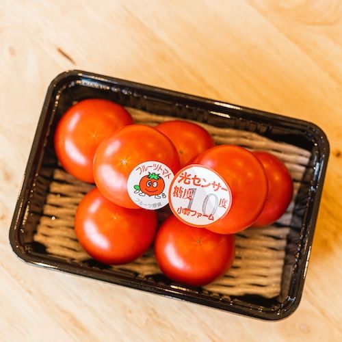 フルーツトマト糖度10度　1.2kg ※2026年1月上旬～4月下旬頃に順次発送予定◆