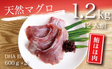 a10-721　焼津・天然鮪・ほほ肉セット 1.2kg
