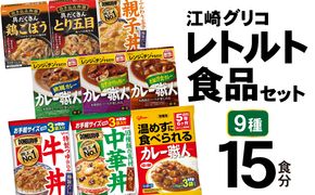 レトルト グリコ 江崎グリコ レトルト食品 セット 9種15食分 [グリコマニュファクチャリングジャパン 宮城県 加美町 44581390] レトルトカレー 常温保存 牛丼 レンジ